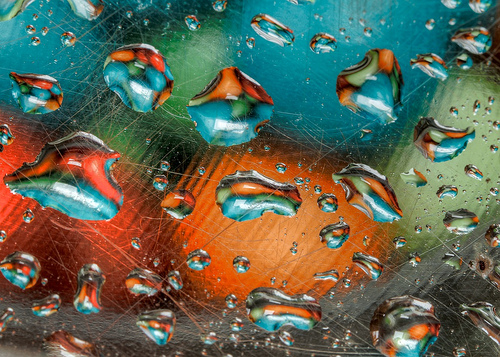 What Kind of Faith Do I Have?