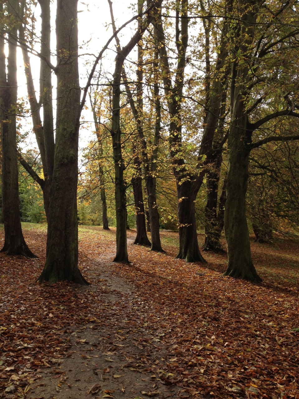 A Time for Everything: Changing Seasons