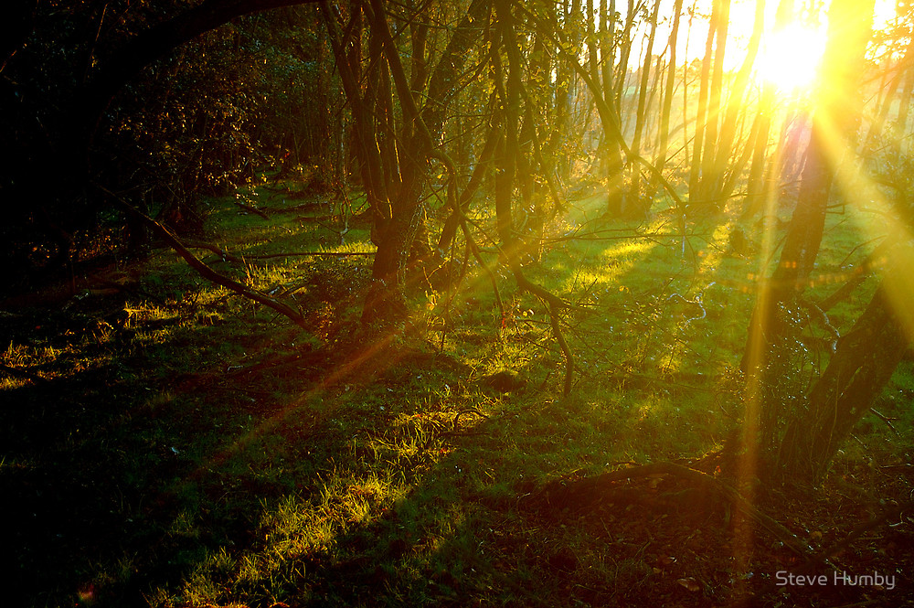 Book Review: A Million&nbsp;Junes